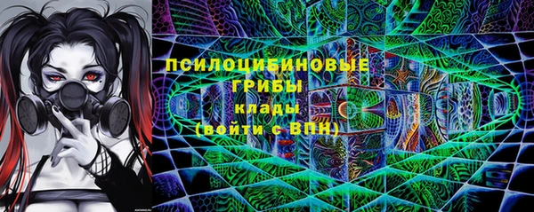 прущие крисы Зеленокумск