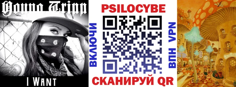 Псилоцибиновые грибы Magic Shrooms  Купить закладки  Лосино-Петровский 